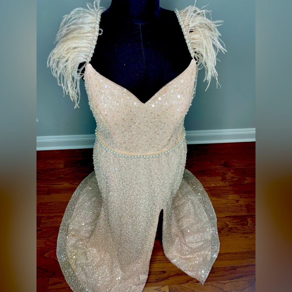 Glam Barbie 💗Cinderella Divine Gown US size 12 light pink